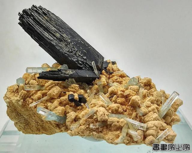 插画师眼中的神奇矿物-28.jpg