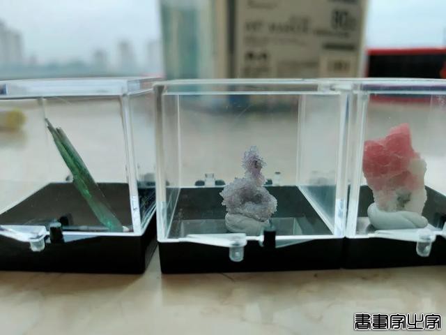 插画师眼中的神奇矿物-48.jpg