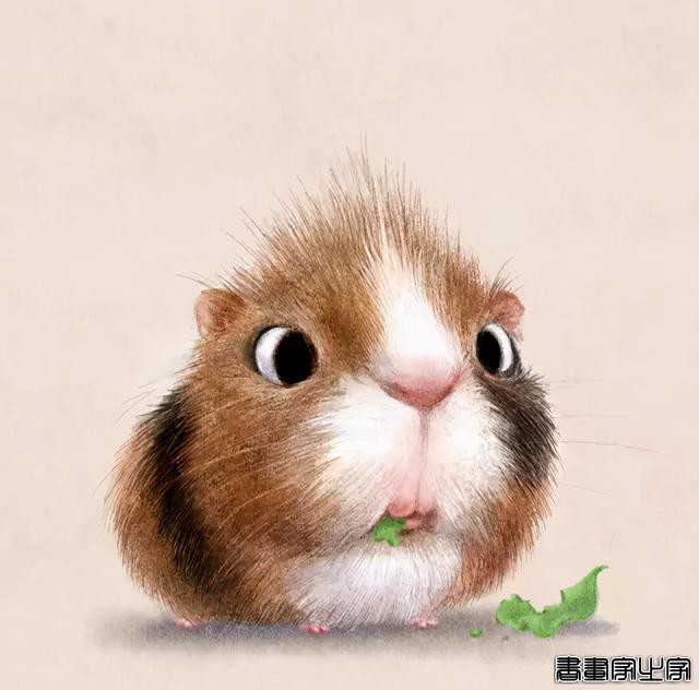 萌系小插画，好想摸一摸-7.jpg