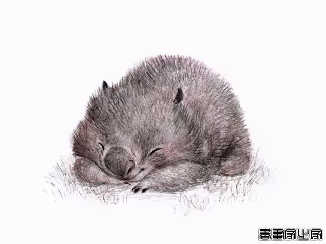 萌系小插画，好想摸一摸-10.jpg