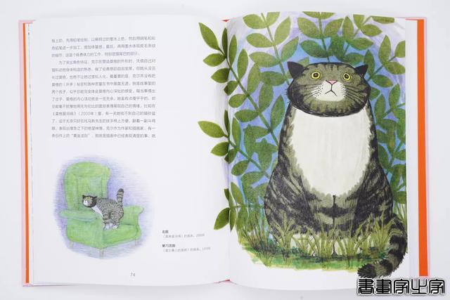 插画，小白兔-4.jpg