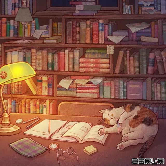 插画师 Limduey 一组喵喵插画-11.jpg