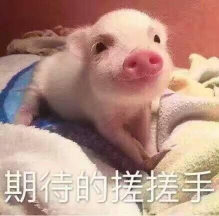 158cm插画师与199cm男友的日常，网友：边笑哭边吃狗粮-7.jpg
