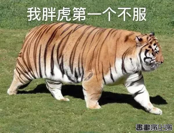 158cm插画师与199cm男友的日常，网友：边笑哭边吃狗粮-5.jpg