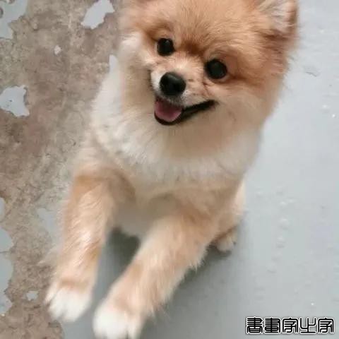 158cm插画师与199cm男友的日常，网友：边笑哭边吃狗粮-9.jpg