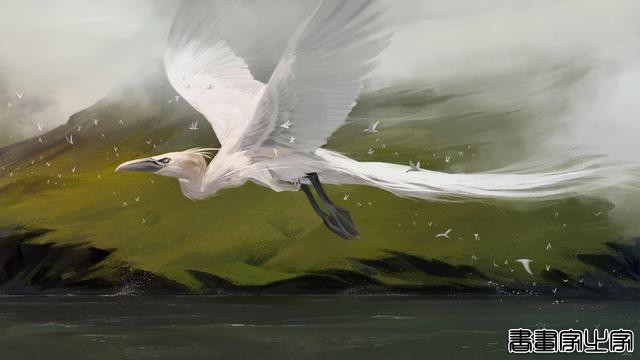 Alexandria Neonakis精美插画作品欣赏-8.jpg