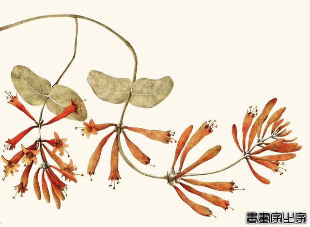 不同风格的商业插画设计创意视觉集锦-35.jpg