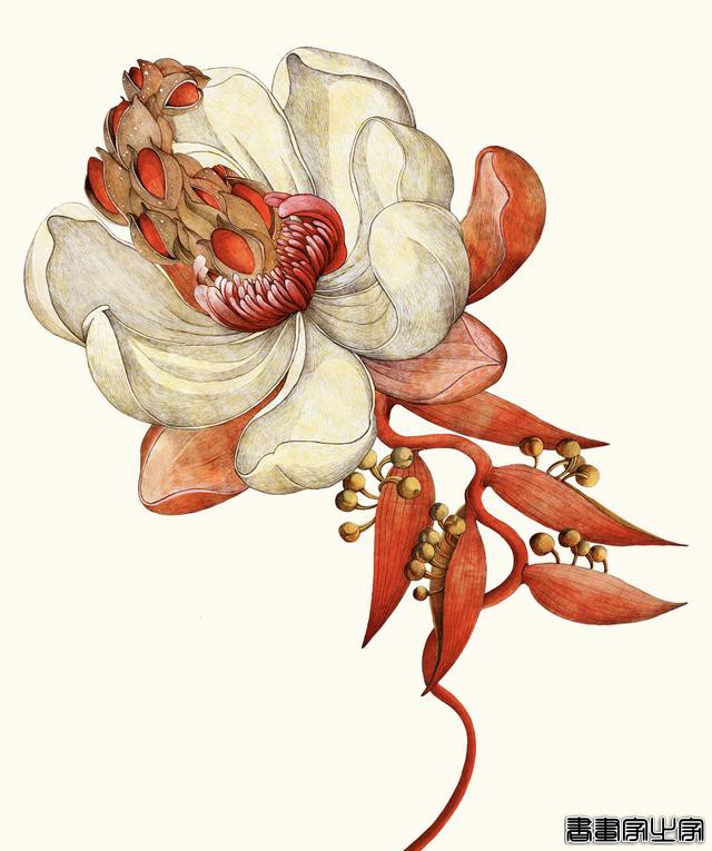 不同风格的商业插画设计创意视觉集锦-36.jpg