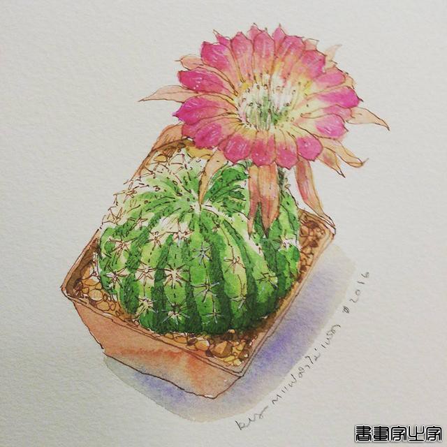 《我有画说》-014期｜一位很有生活感的插画师画的插画-8.jpg