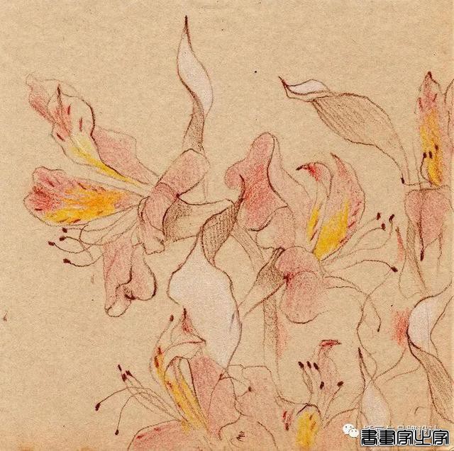 插画丨简单的草图，怀旧感的画面感，将世界描绘的可爱又疯狂-9.jpg
