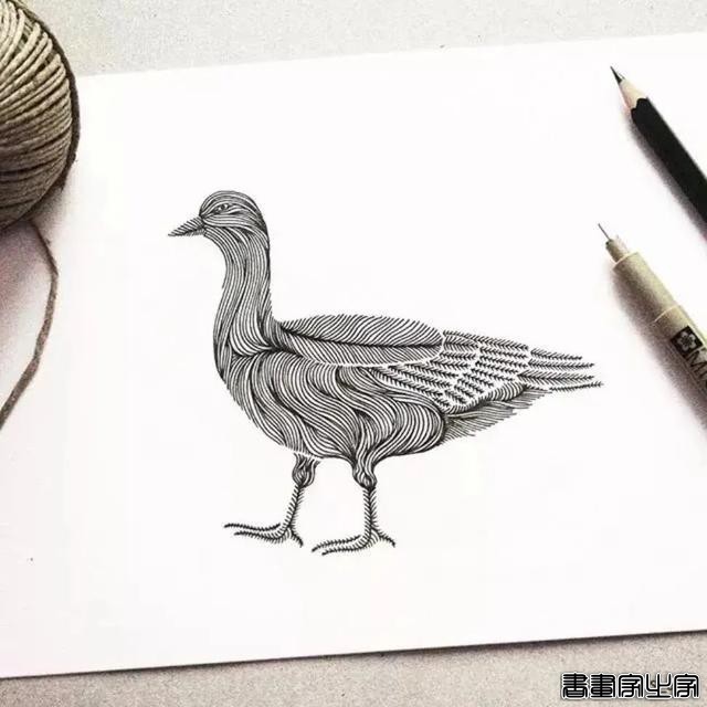 她笔下针管笔线描如此有趣且精致，看一眼，保证你喜欢上黑白插画-36.jpg
