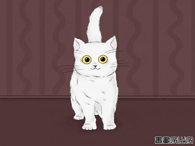 如果你家猫有以下几种行为，恭喜你！它爱上你了-7.jpg