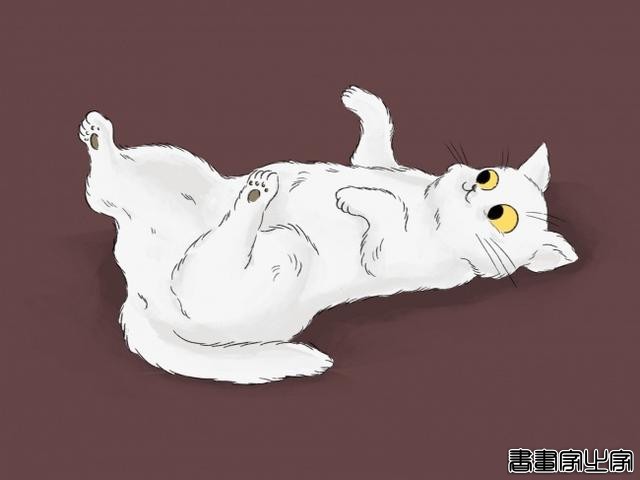 如果你家猫有以下几种行为，恭喜你！它爱上你了-10.jpg