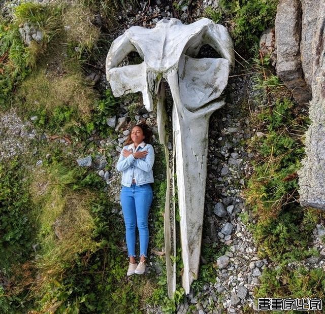 15个惊人的动物冷知识 | 没错，哪怕是你的生物老师也不一定知道-7.jpg