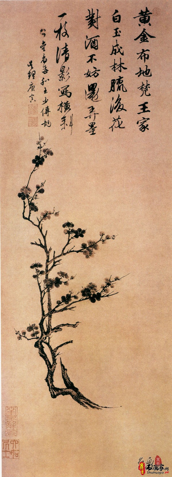 《梅花图》明代唐寅_梅花图高清全图赏析