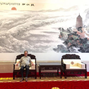 杜巽