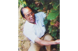 倪伯瑞