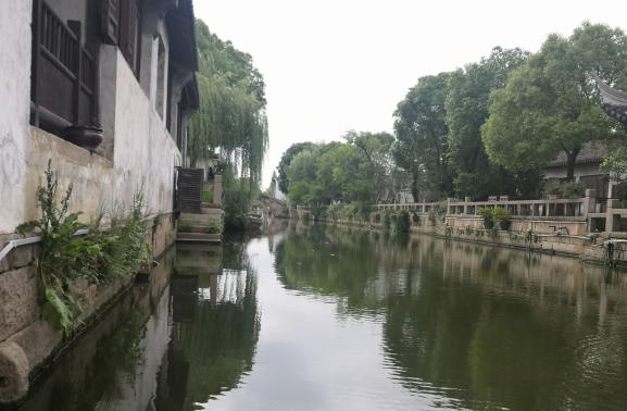 人文史话｜无锡荡口古镇“华太师”为“唐伯虎”做绿叶