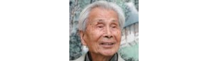 书画家【吴冠中】作品/润格_多少钱一平尺