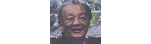 书画家【江有生】作品/润格_多少钱一平尺