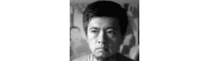 书画家【马晓腾】作品/润格_多少钱一平尺