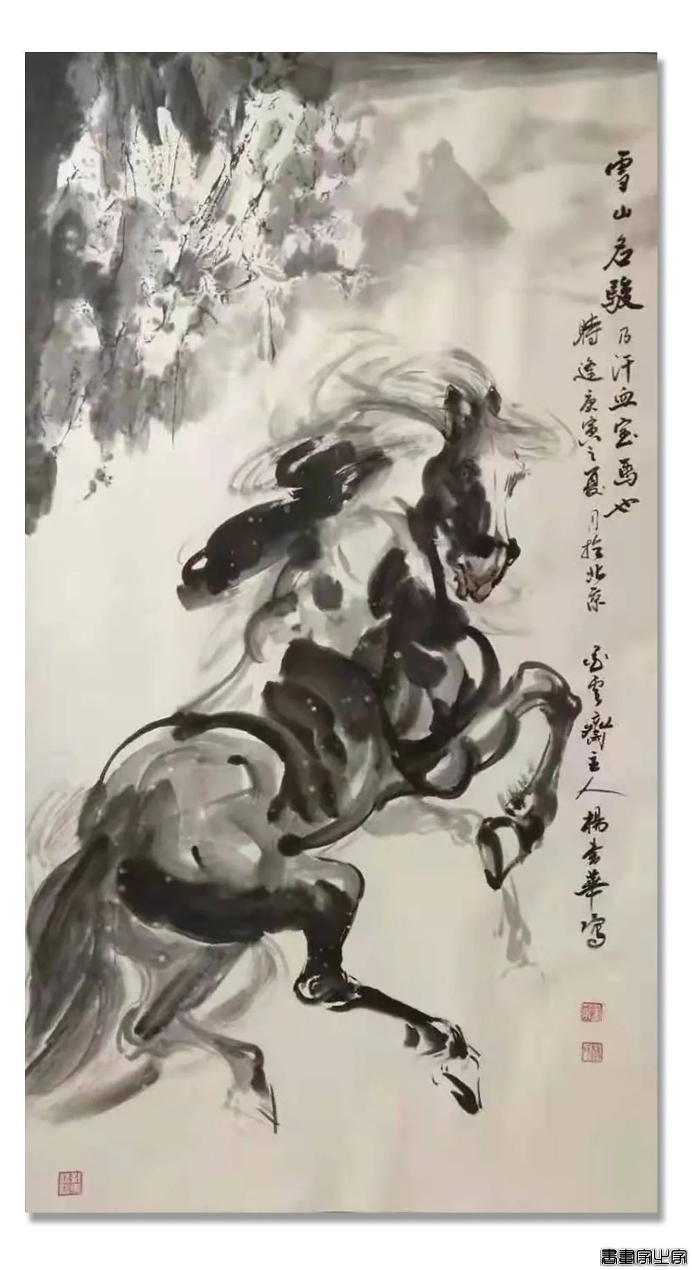 「​​杨书华」｜丹青追梦 水墨本色-中国当代书画名家个人云展览
